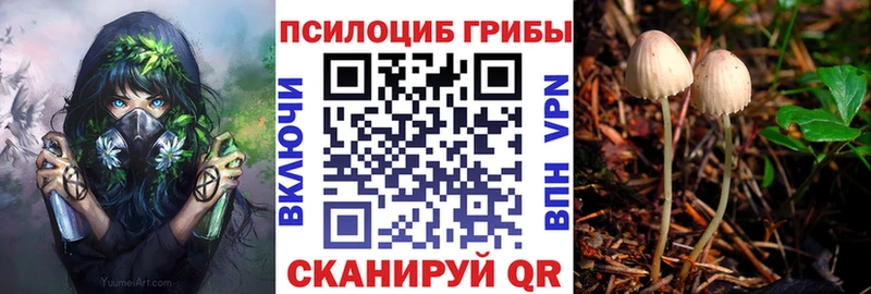 цена наркотик  Верхнеуральск  omg ТОР  Галлюциногенные грибы Cubensis 
